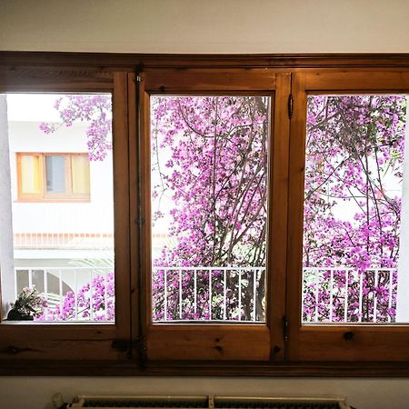 El Penell Apartament Llevant Vilamaniscle Екстер'єр фото