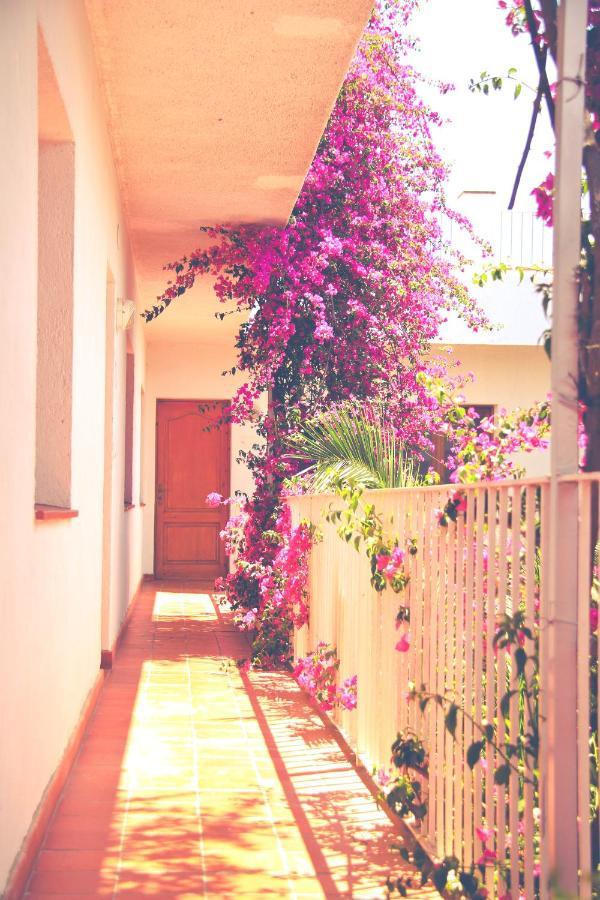 El Penell Apartament Llevant Vilamaniscle Екстер'єр фото