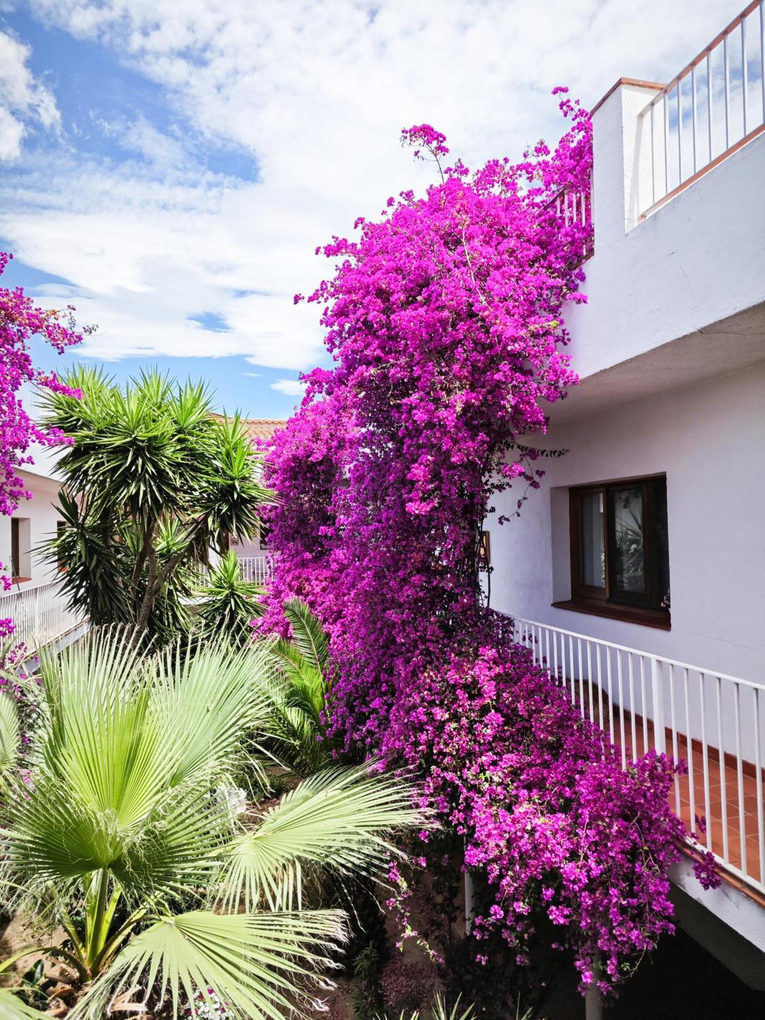 El Penell Apartament Llevant Vilamaniscle Екстер'єр фото